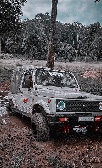外援与本土 外援与本土