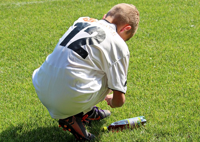 特别强调了 特别强调了