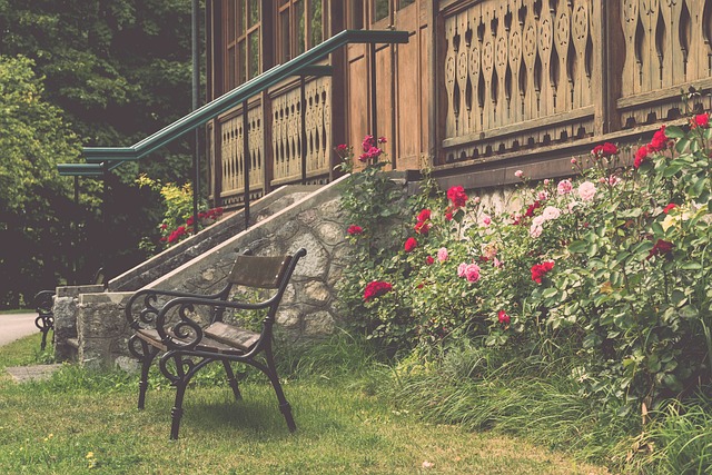 球場視野以 球場視野以