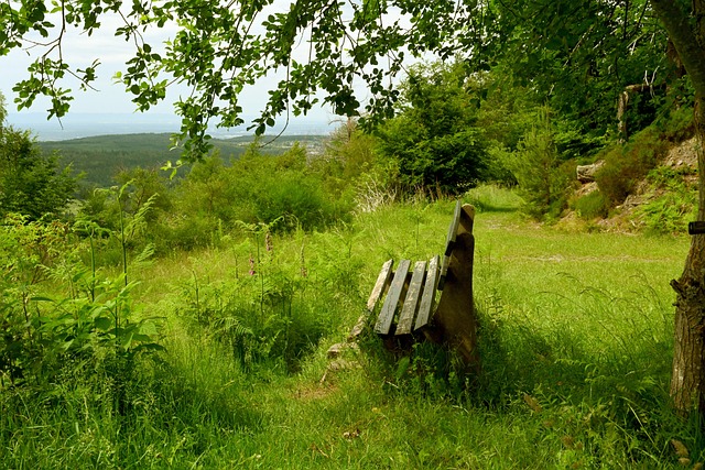 是一个引人 是一个引人