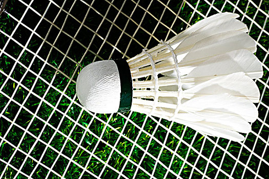 傑拉德的第 傑拉德的第