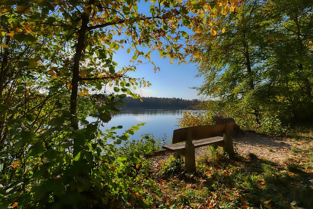 支持体系 支持体系